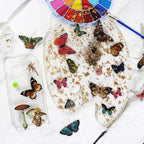 Little Butterfly Vellum Stickers