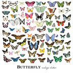 Little Butterfly Vellum Stickers