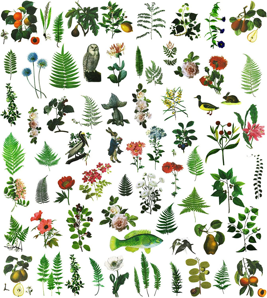 Fern Vellum Stickers