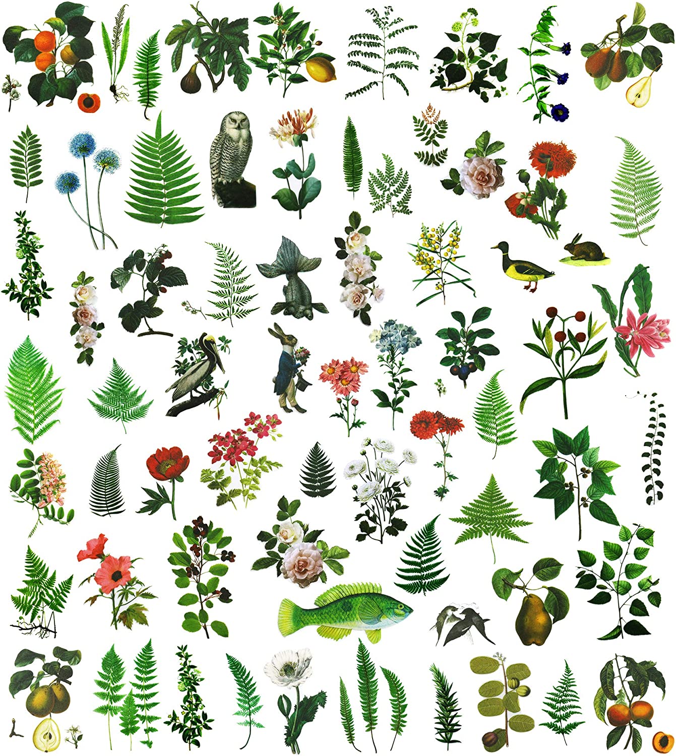 Fern Vellum Stickers