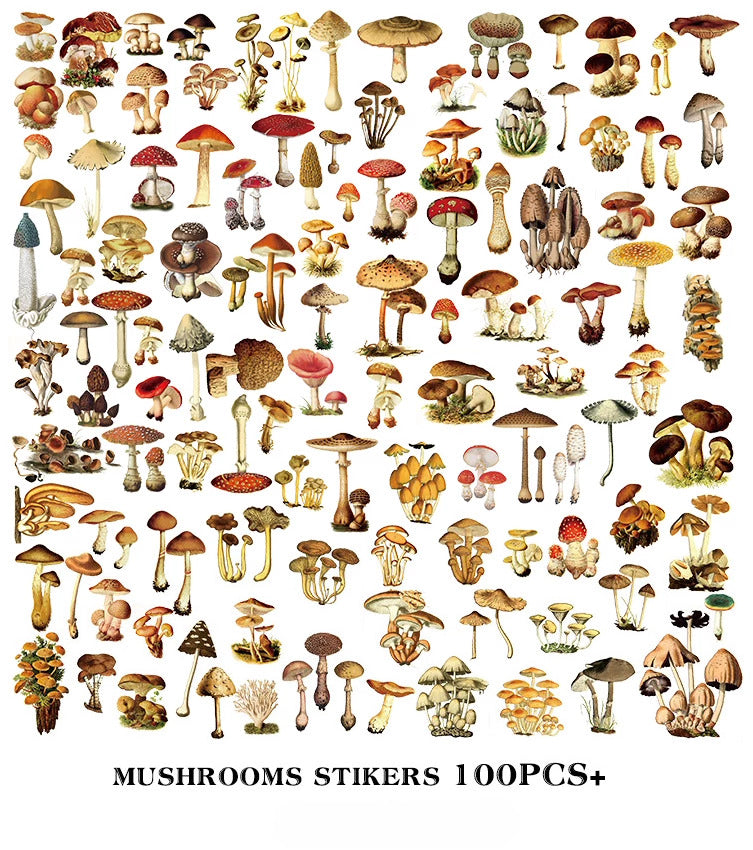 Little Mushroom Vellum Stickers