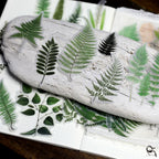 Fern Vellum Stickers