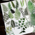 Fern Vellum Stickers