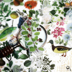 Fern Vellum Stickers