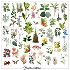 50PCS Larger Plants Vellum Stickers