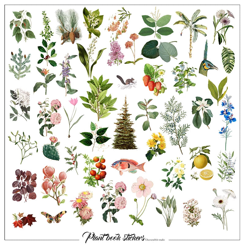 50PCS Larger Plants Vellum Stickers
