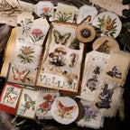 Fossils Matte Rub-on Transfers