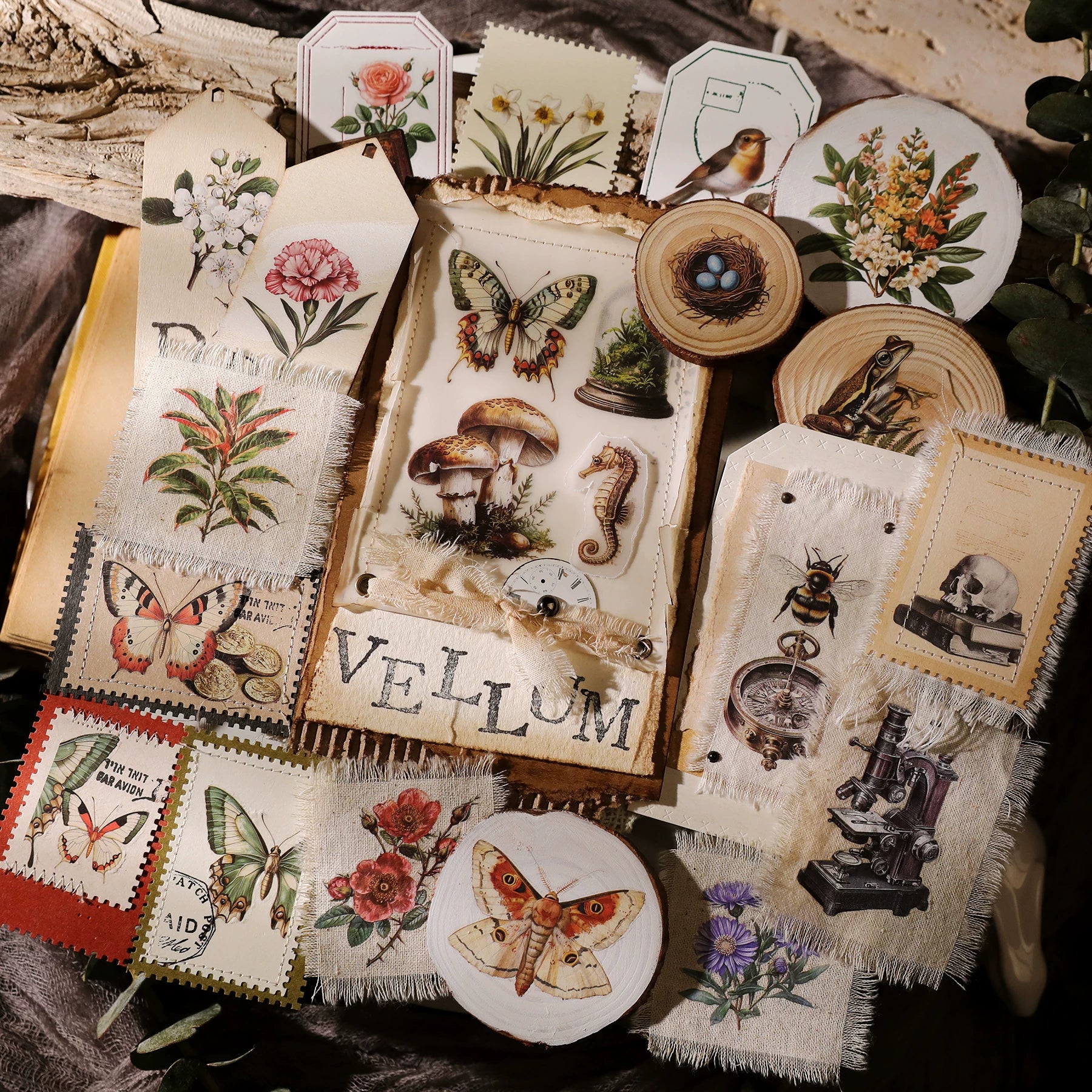 Fossils Matte Rub-on Transfers