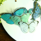 Tropical Plants and Butterflies Vellum Stickers