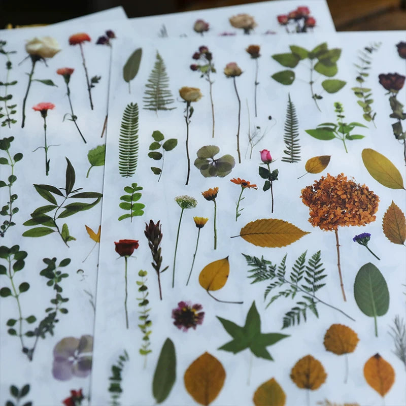 Green Dried Flowers Matte Rub-on Transfers