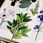 50PCS Larger Plants Vellum Stickers