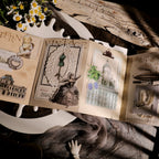 Classical Copperplate Prints Vellum Stickers