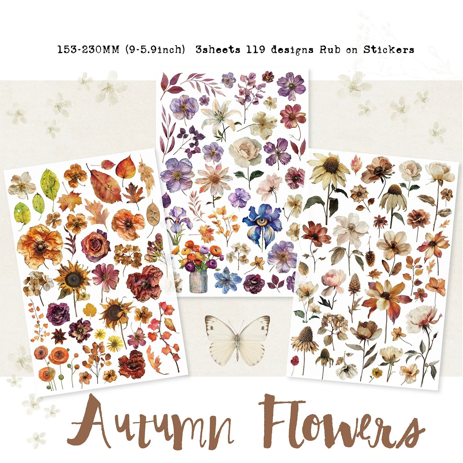 Autumn Dried Flowers Matte Rub-on Transfers
