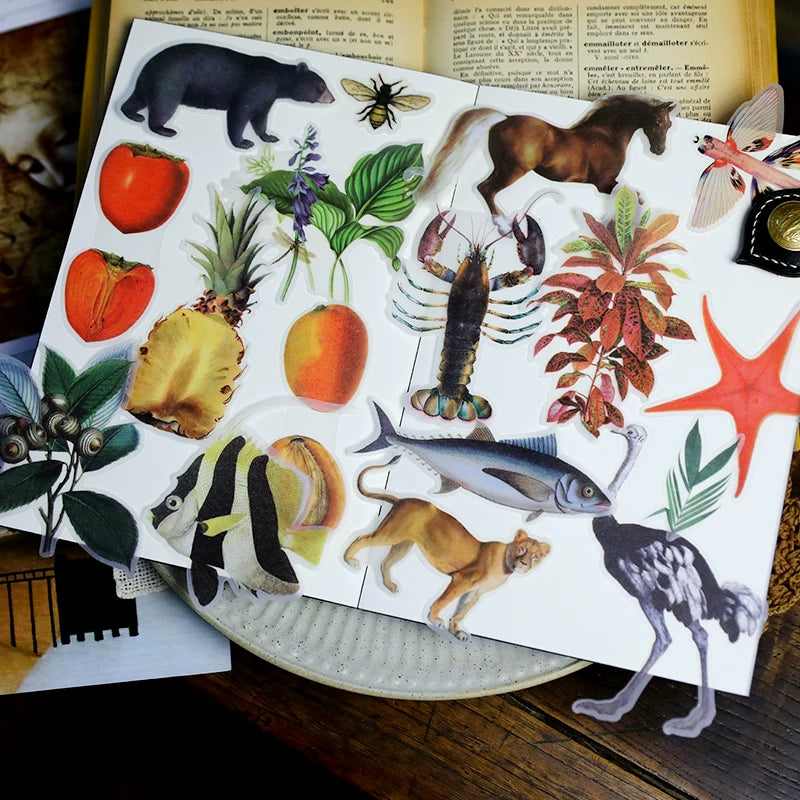 Life Encyclopedia Vellum Stickers