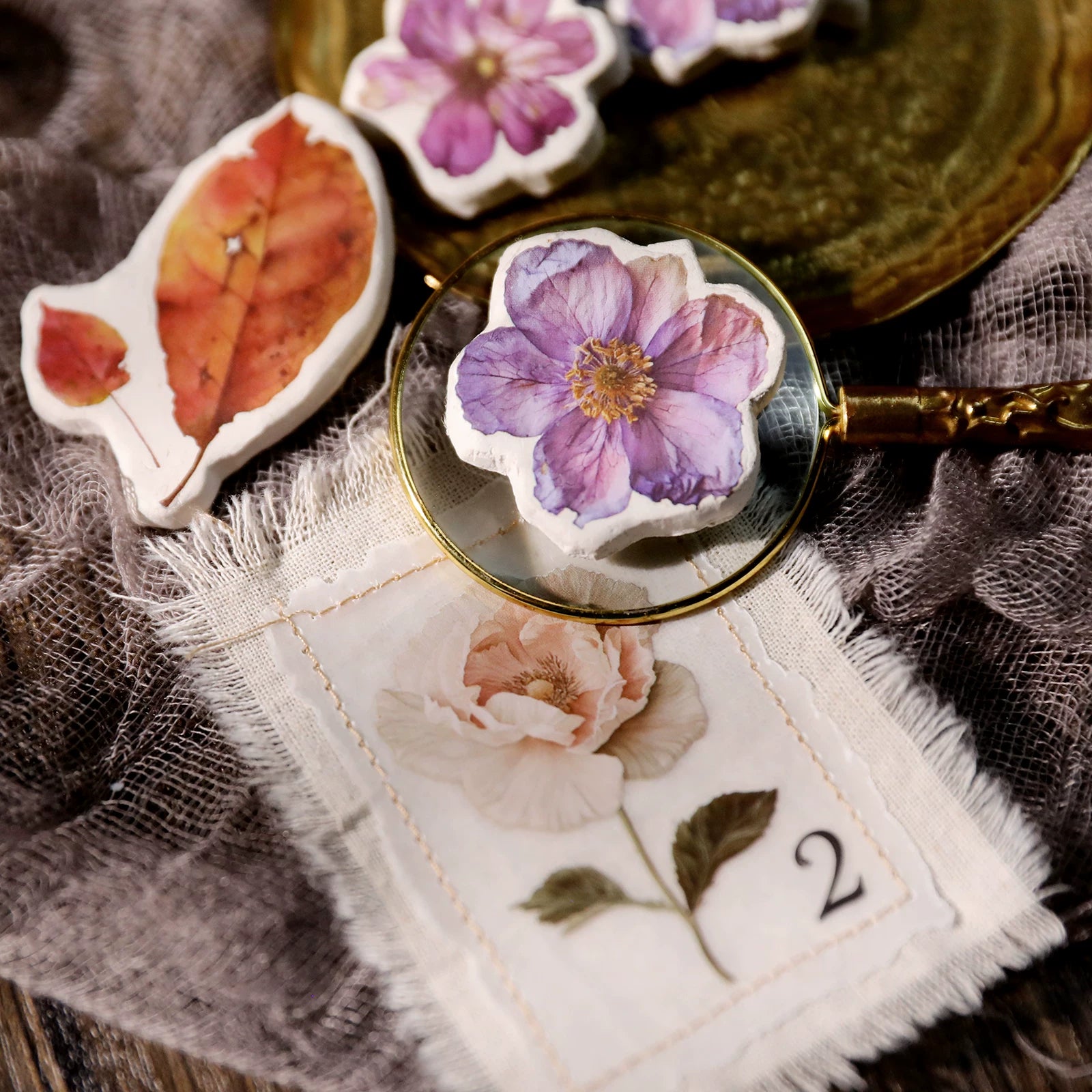 Autumn Dried Flowers Matte Rub-on Transfers