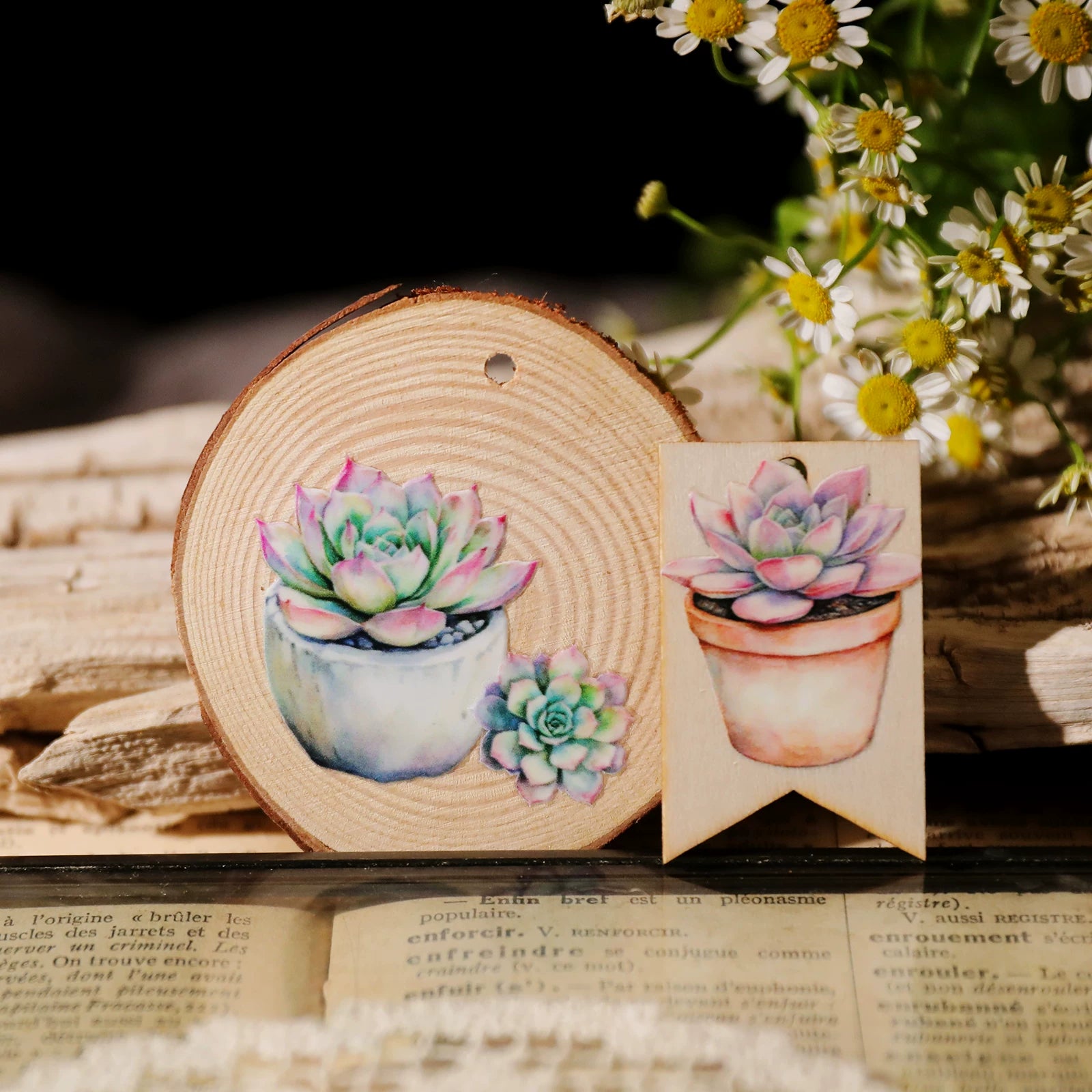 Succulents UV-DTF Rub-on Stickers