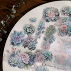 Succulent Vellum Stickers