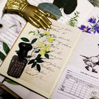 50PCS Larger Plants Vellum Stickers