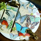 Tropical Plants and Butterflies Vellum Stickers