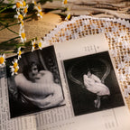 Retro Old Photos Vellum Stickers