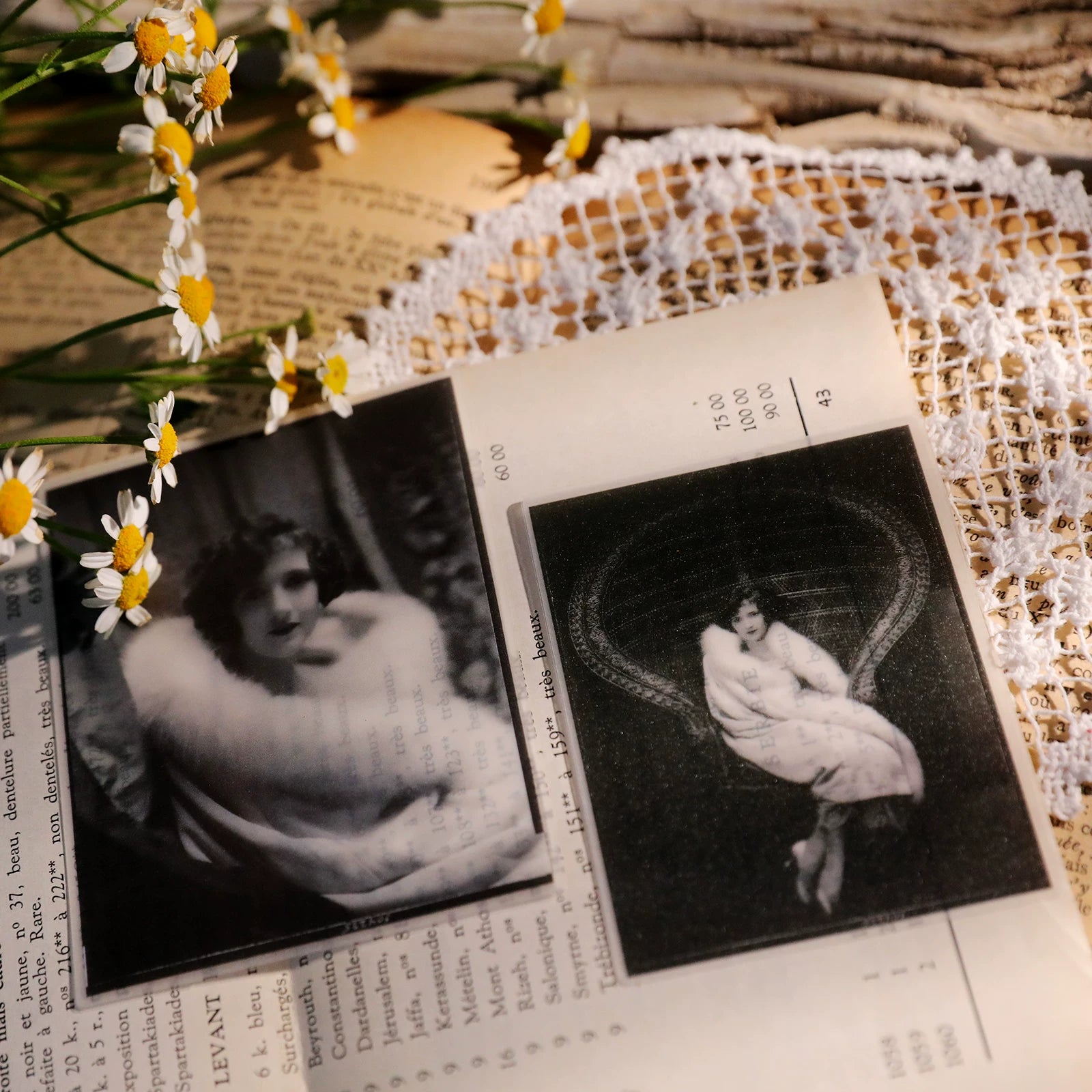 Retro Old Photos Vellum Stickers