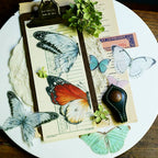 Tropical Plants and Butterflies Vellum Stickers