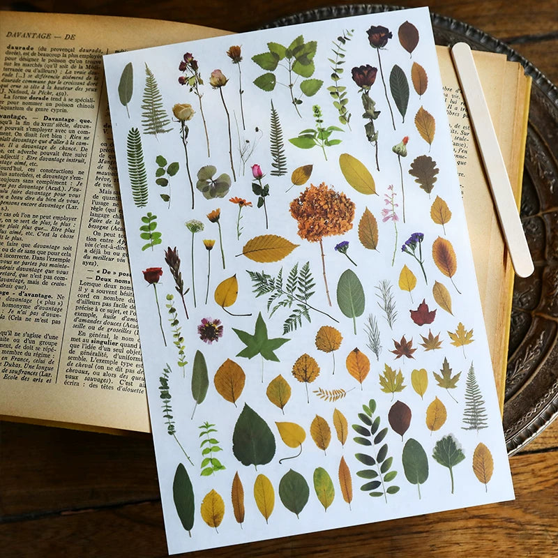 Green Dried Flowers Matte Rub-on Transfers