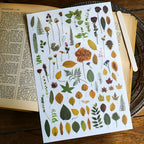 Green Dried Flowers Matte Rub-on Transfers