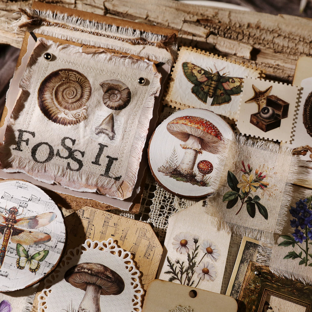 Fossils Matte Rub-on Transfers