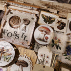 Fossils Matte Rub-on Transfers
