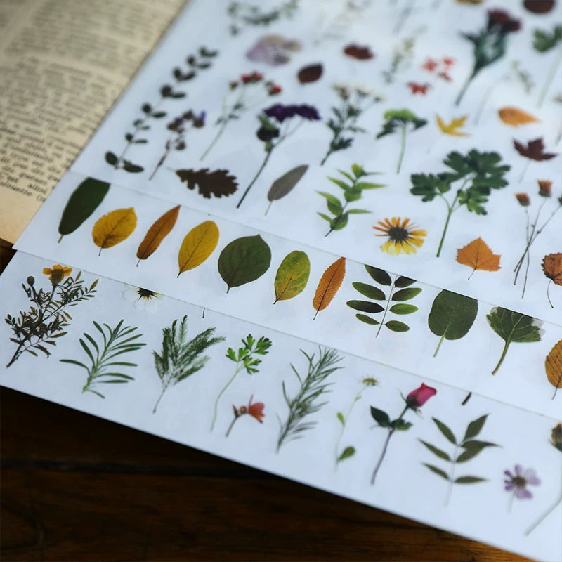 Green Dried Flowers Matte Rub-on Transfers