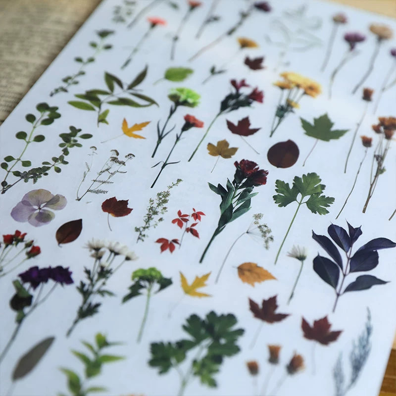 Green Dried Flowers Matte Rub-on Transfers