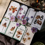 Autumn Dried Flowers Matte Rub-on Transfers