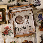 Fossils Matte Rub-on Transfers