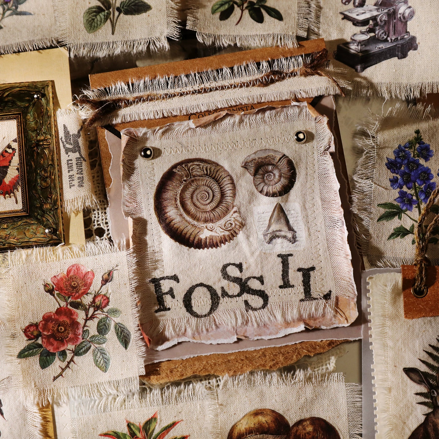Fossils Matte Rub-on Transfers