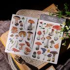 Mushroom Matte Rub-on Transfers 2 Small Sheets