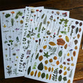 Green Dried Flowers Matte Rub-on Transfers