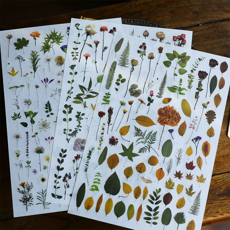 Green Dried Flowers Matte Rub-on Transfers