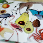 Life Encyclopedia Vellum Stickers