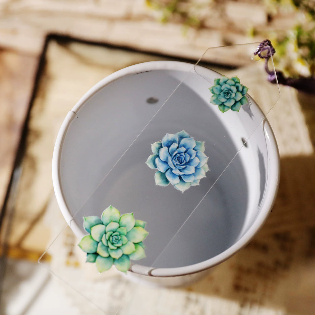 Succulents UV-DTF Rub-on Stickers