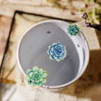 Succulents UV-DTF Rub-on Stickers