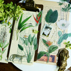 Tropical Plants and Butterflies Vellum Stickers