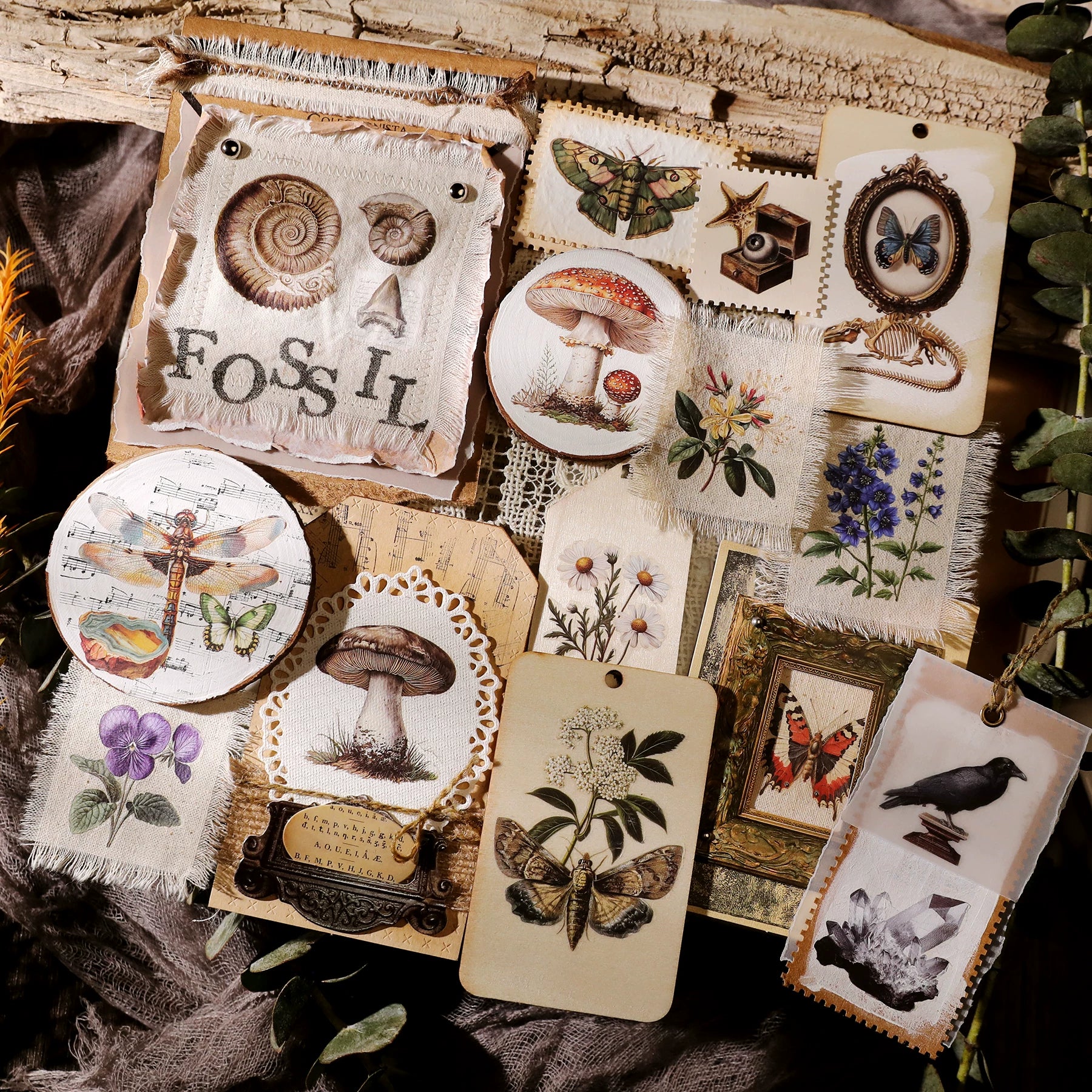 Fossils Matte Rub-on Transfers