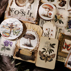 Fossils Matte Rub-on Transfers