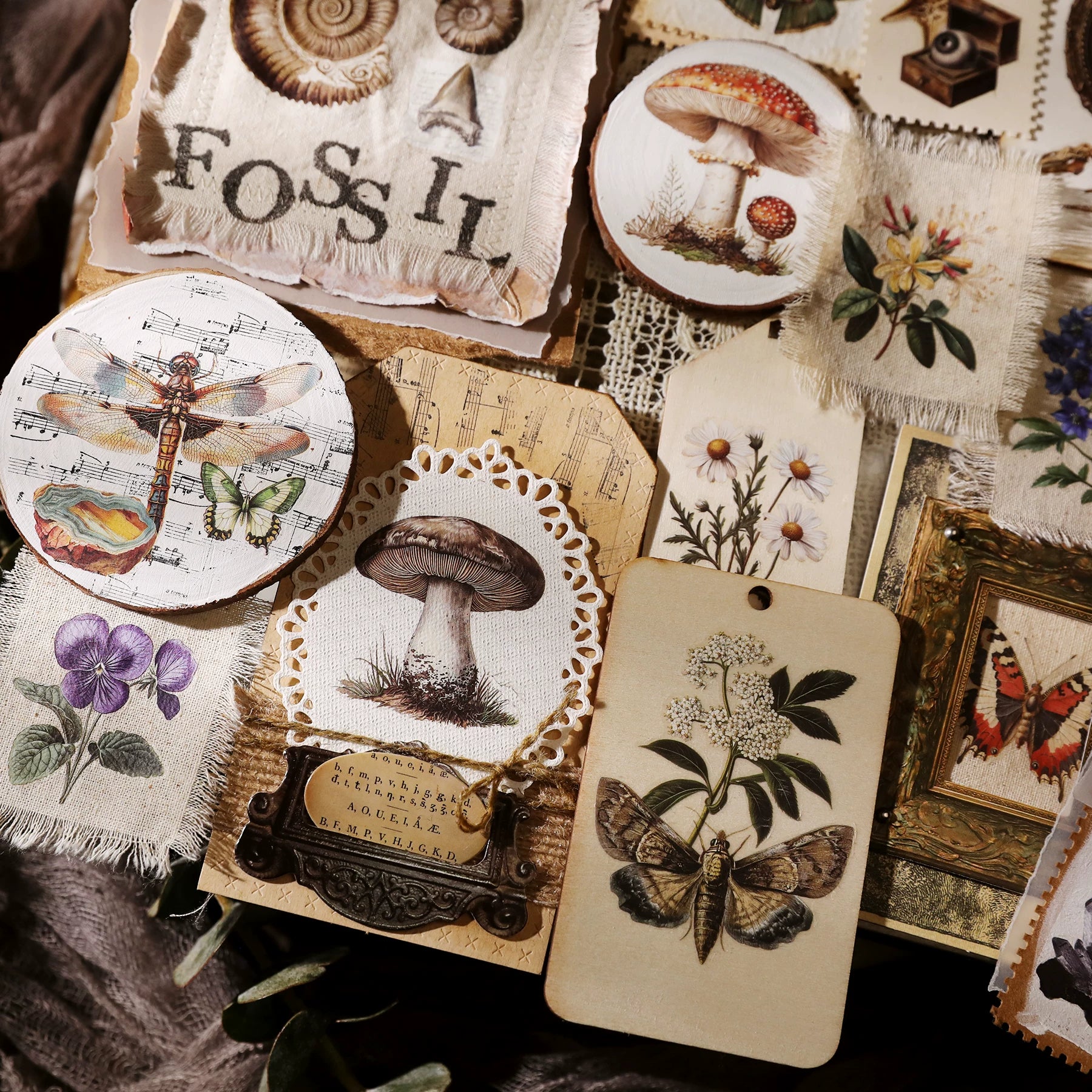 Fossils Matte Rub-on Transfers