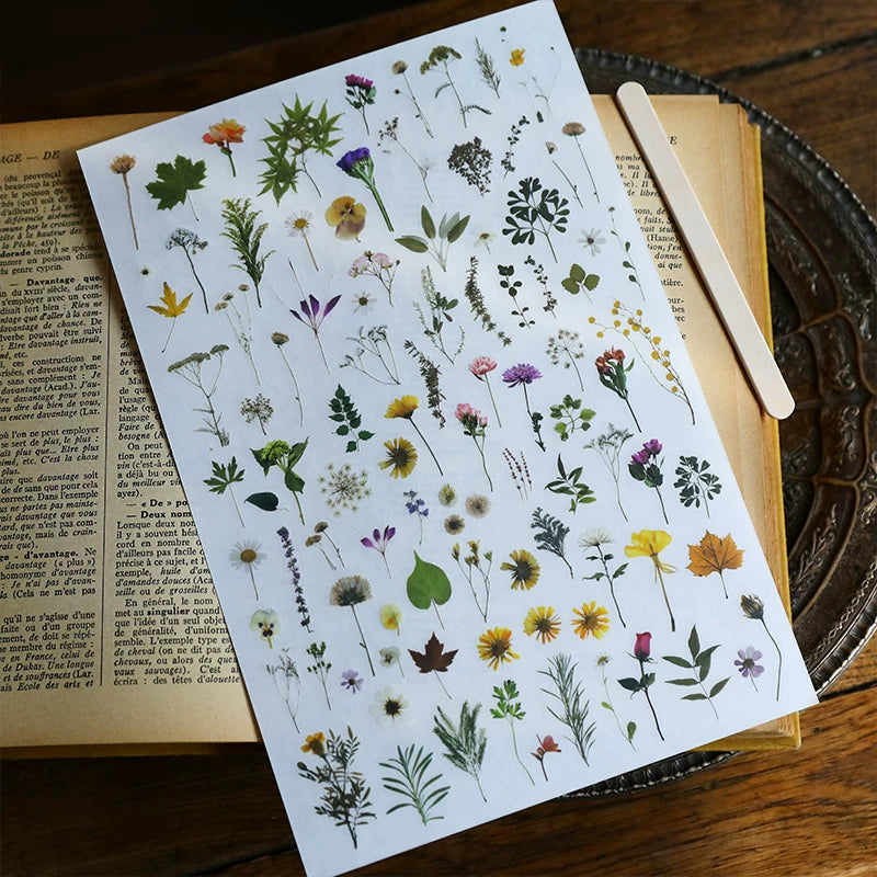 Green Dried Flowers Matte Rub-on Transfers