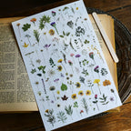 Green Dried Flowers Matte Rub-on Transfers
