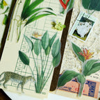 Tropical Plants and Butterflies Vellum Stickers