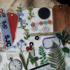 Botanist Vellum Stickers