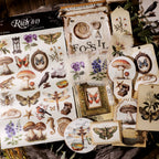Fossils Matte Rub-on Transfers